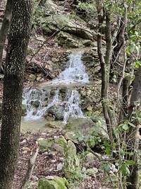 Le fauge 2 Le fauge 2